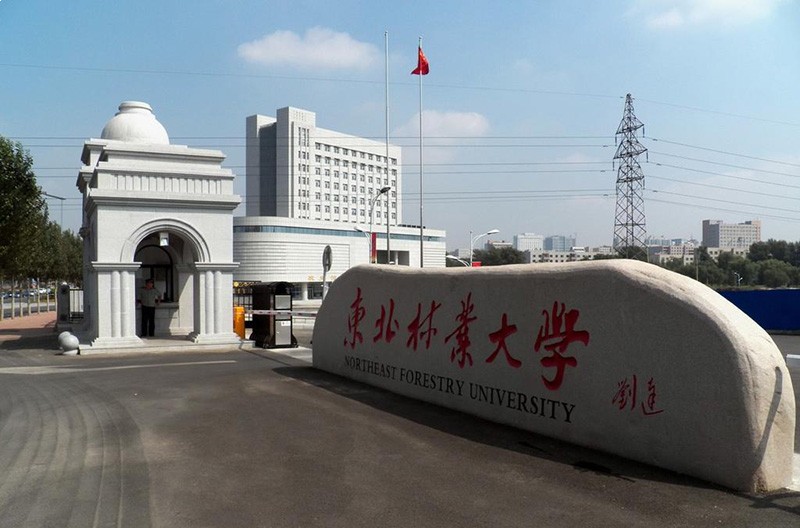 东北林业大学